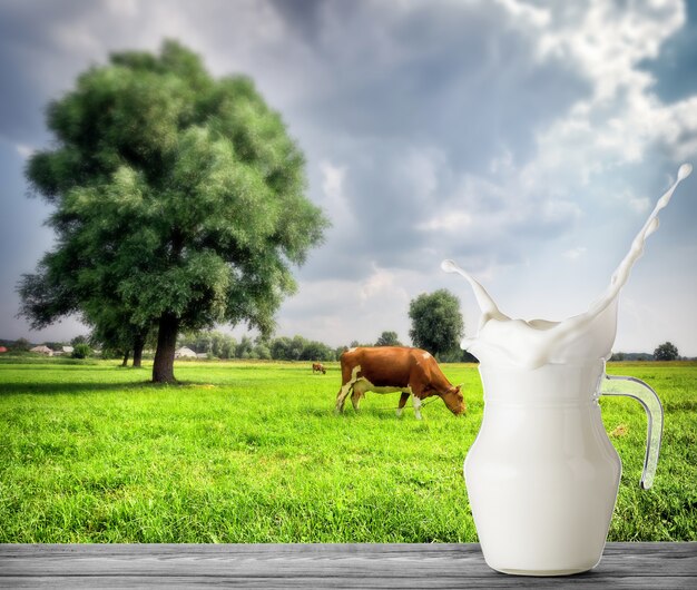 jug-milk-with-splash-with-cow-meadow_159938-2254.jpg