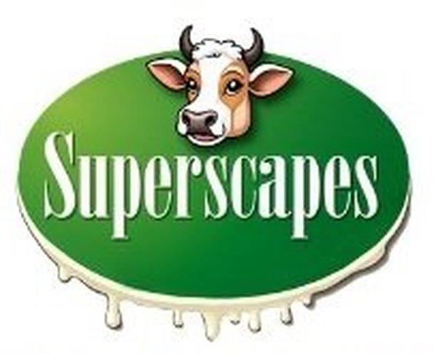 Superscapes